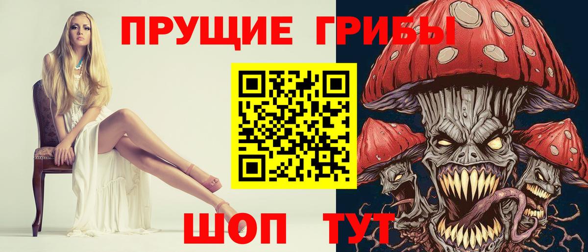 Псилоцибиновые грибы Psilocybe  Вход с VPN  Вязники 